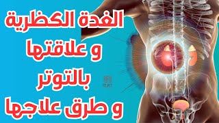 الغدة الكظرية و علاقتها بالتوتر | الغدة الكظرية واعراضها وعلاجها by Dr. Ali Salem Manual Pain Therapy 83 views 4 months ago 1 minute, 7 seconds