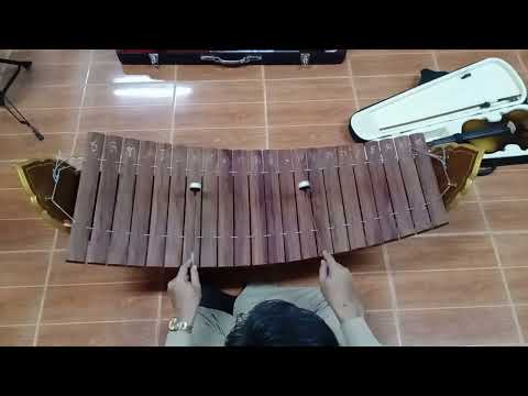คลิปการสอนระนาดเพลงนางนาค 2 ชั้น 1
