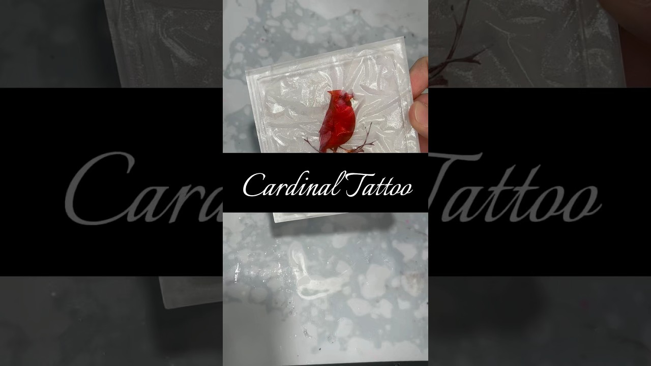 Cardinals appear when Angels are near 🤍 