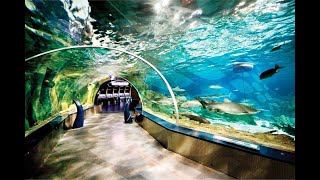 Turkey, Istanbul Aquarium Florya (April 2022) 4K Walking