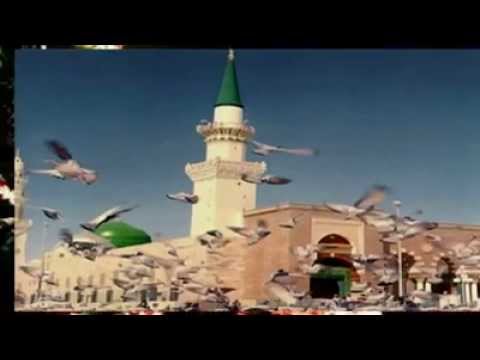 مالي صبر يا ناس