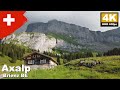 Axalp, Brienz BE Switzerland | 4K 60fps