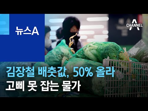 김장철 배춧값, 50% 올라…고삐 못 잡는 물가 | 뉴스A