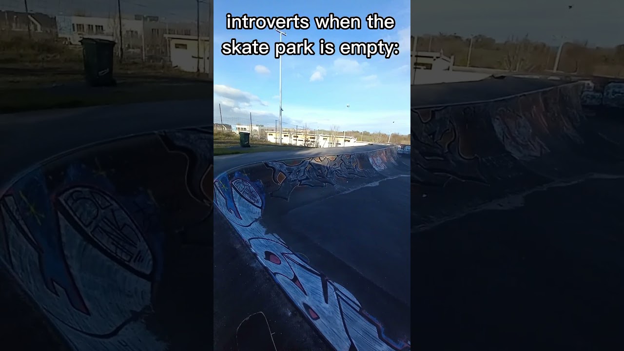 Skaters when the skatepark is empty: 