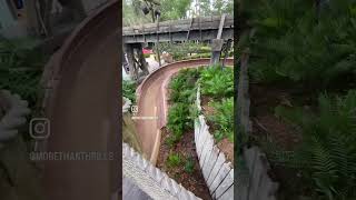 Disneys Port Orleans Resort  Riverside morethanthrills waltdisneyworld