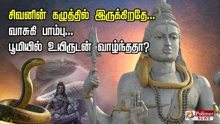 சிவனின் கழுத்தில் இருக்கிறதே... வாசுகி பாம்பு... பூமியில் உயிருடன் வாழ்ந்ததா?