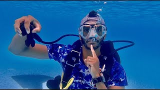 #dive_with_drar  تعليم مهارات الغوص للمبتدئين عملي  دبي ..اكتشاف الغوص ..والغوص بالمعدات