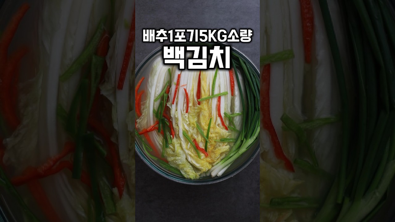 배추1포기 백김치 #shorts
