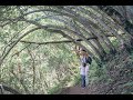 Why we Hike.  Uvas Canyon County Park