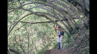 Why we Hike.  Uvas Canyon County Park