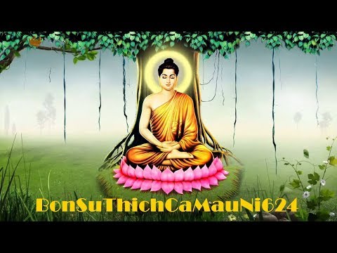 Nhạc thiền tĩnh tâm - hình ảnh phật giáo đẹp