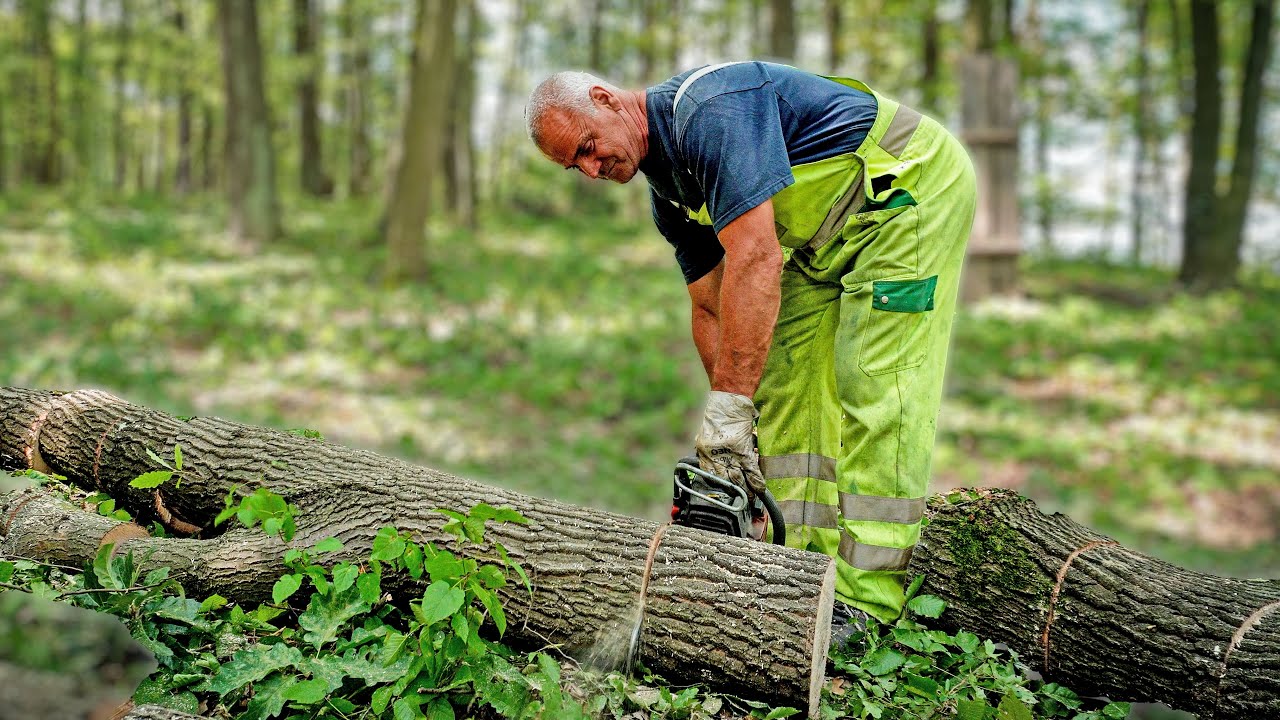 NE MOŽEŠ TI NARODU NADRAMIT! Dosta sam postigo, prvo od konja...