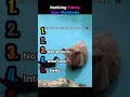 Ranking Funny Cow Moments🐄😂