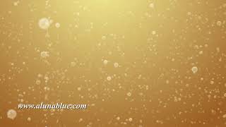 Champagne Bubbles 104 HD, 4K Stock Footage Net Worth