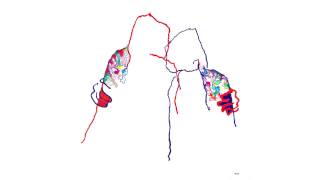 Otto Knows - Next To Me (Pingpong Remix)