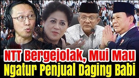 MENGEJUTKAN KEMRAHAN WARGA NTT KRISTEN MAU NGATUR SOAL PENJUAL DAGING BABI | MUI ENDE NTT