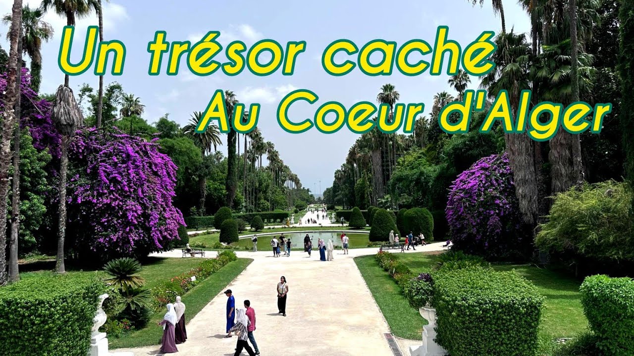 Une forêt tropicale au centre d'alger, ce jardin est le poumon de la capitale algerienne