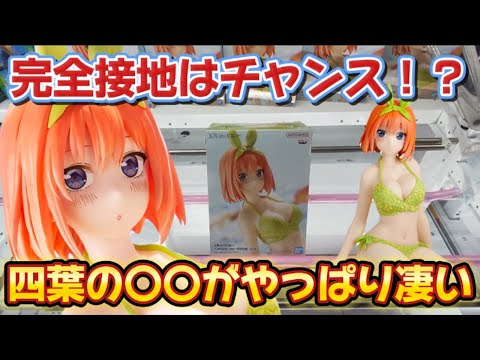 五等分の花嫁 Celestial vivi School style スク水 Aqua Float Girls 