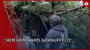 Storm Amy raast over Stadskanaal: boom valt op blokhut, zoon ontsnapt op het nippertje