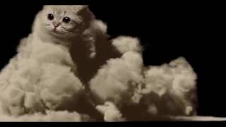 Cat Cloud...