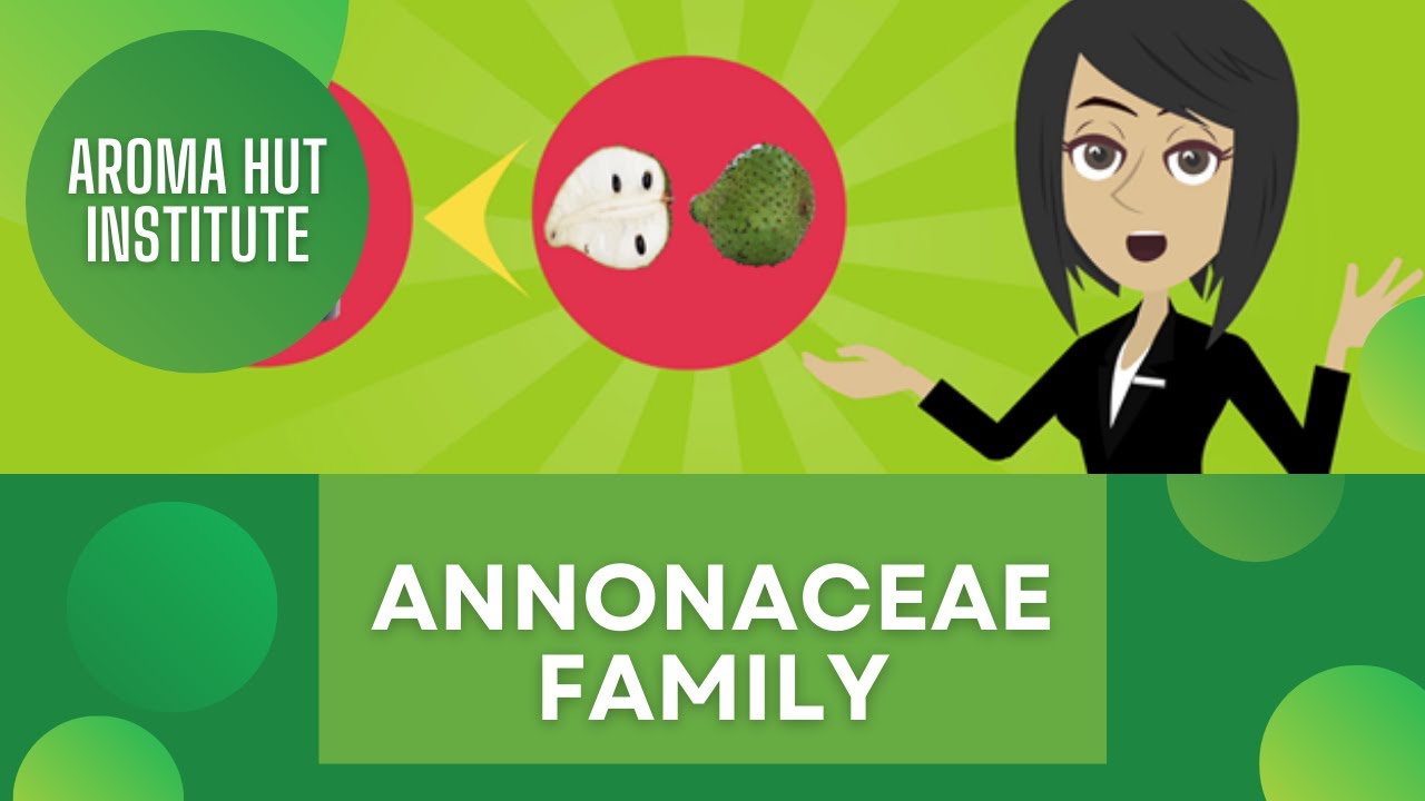 Delving into the Wonders of Annonaceae | Botanical Family of Ylang Ylang