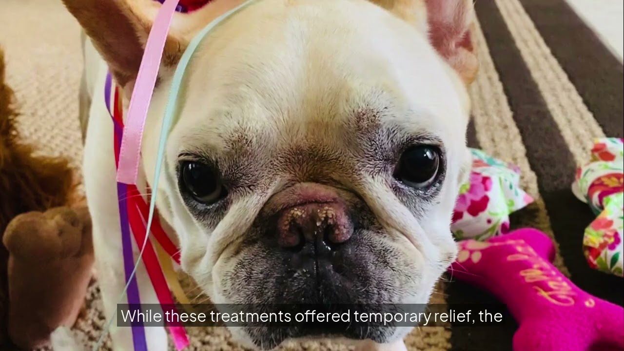 Глава 5.1 из «Историй мудрости» Сыроедение: Преимущества сыроедения