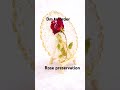 Rose preservation♥️ #art #gift #fypシ #calligraphy #trending #shorts #trend #handmade #love #reels