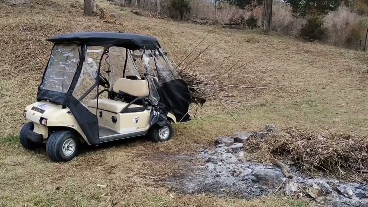 Cleaning up the spring, dead trees and getting the golf cart running again.🌳🏡🌳