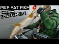 HOW JACKS TRIGGER BIG PIKE? Fly & Lure Pike Fishing Ireland.