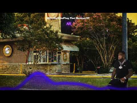 MO3, BigXthaPlug, That Mexican OT - AR (Visualizer)