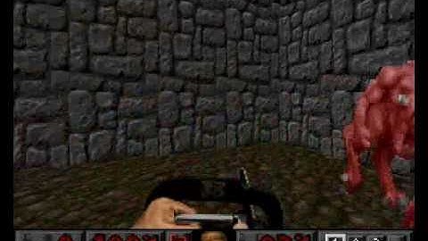 Doom PSX (TC) Map 15 (Spawning vats) ( 100% all secrets )
