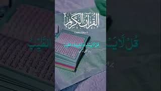 Surah Al - Maidah Ayat 96 97 - 99 100 - 103 Urdu Translation Quran