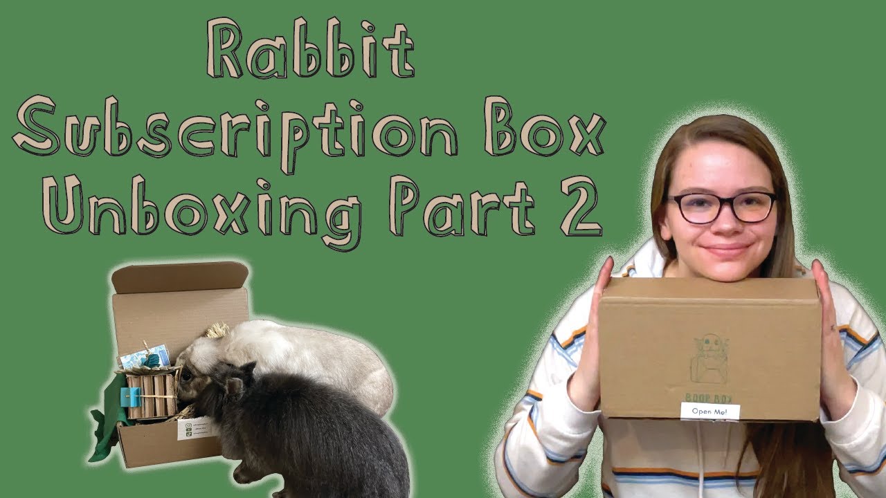 RABBIT SUBSCRIPTION BOX: Unboxing the Boop Box | Part 2 in Rabbit ...