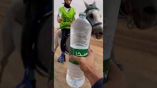 سباق خيل   سمعها