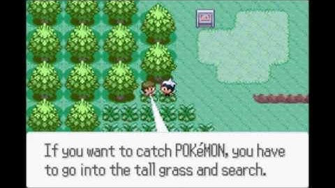 ASM POKEMON RUBY - BW Textbox