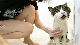 ママとお風呂に入ったら子猫みたいに小さくなった息子猫w