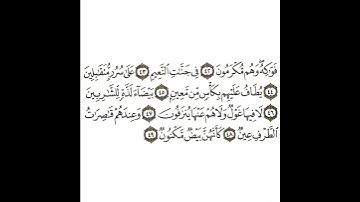 سورة الصافات 7 القسم السابع تكرار كيفي من .. فواكه وهم مكرمون .. إلى .. كأنهن بيض مكنون