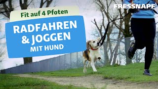 Joggen und Radfahren mit Hund