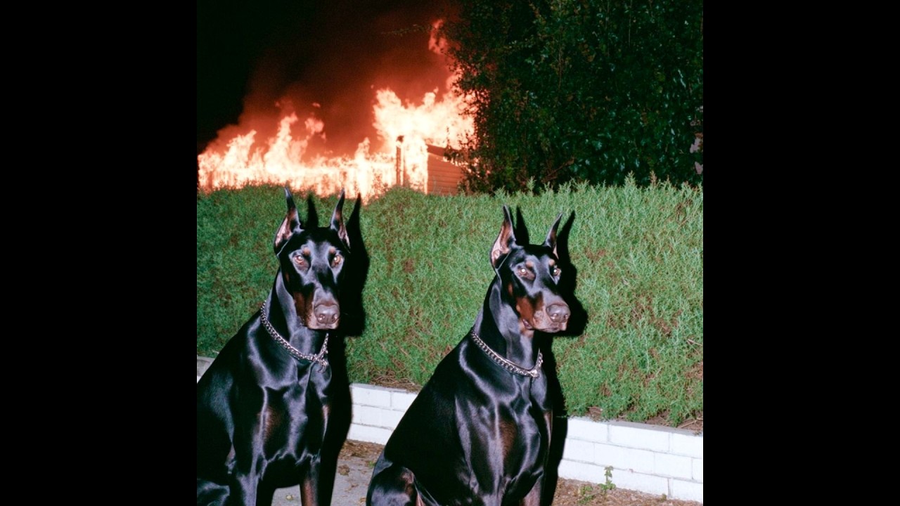 [FREE] Yeat x Lucki type beat - 