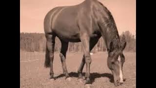 Tantta - Greatest memory