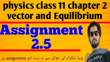 Assignment 2.5 of physics class 11 chapter 2 Vector and Equilibrium
