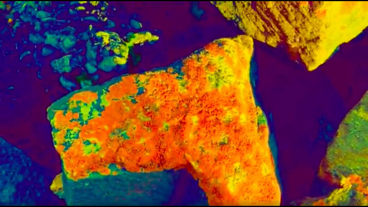 The Liminoid - Toxic Yellow Lichen (Bacterial Semiosis mix): (Experimental Techno)