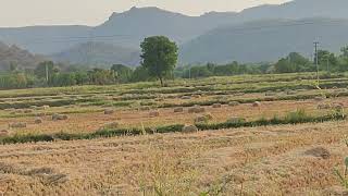 Mahendra Baller 330// John Deere tractor Bava Ninnu Sudavathuno Dj Song