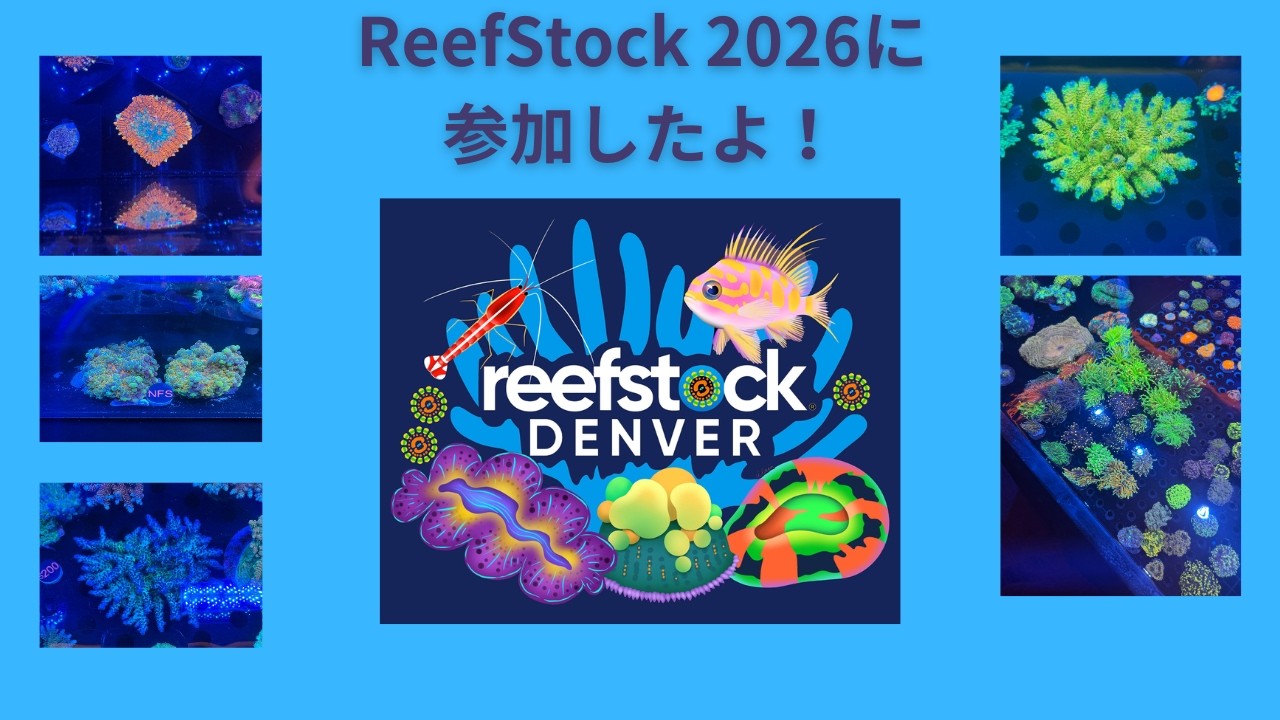 海外アクアショー：ReefStock 2026