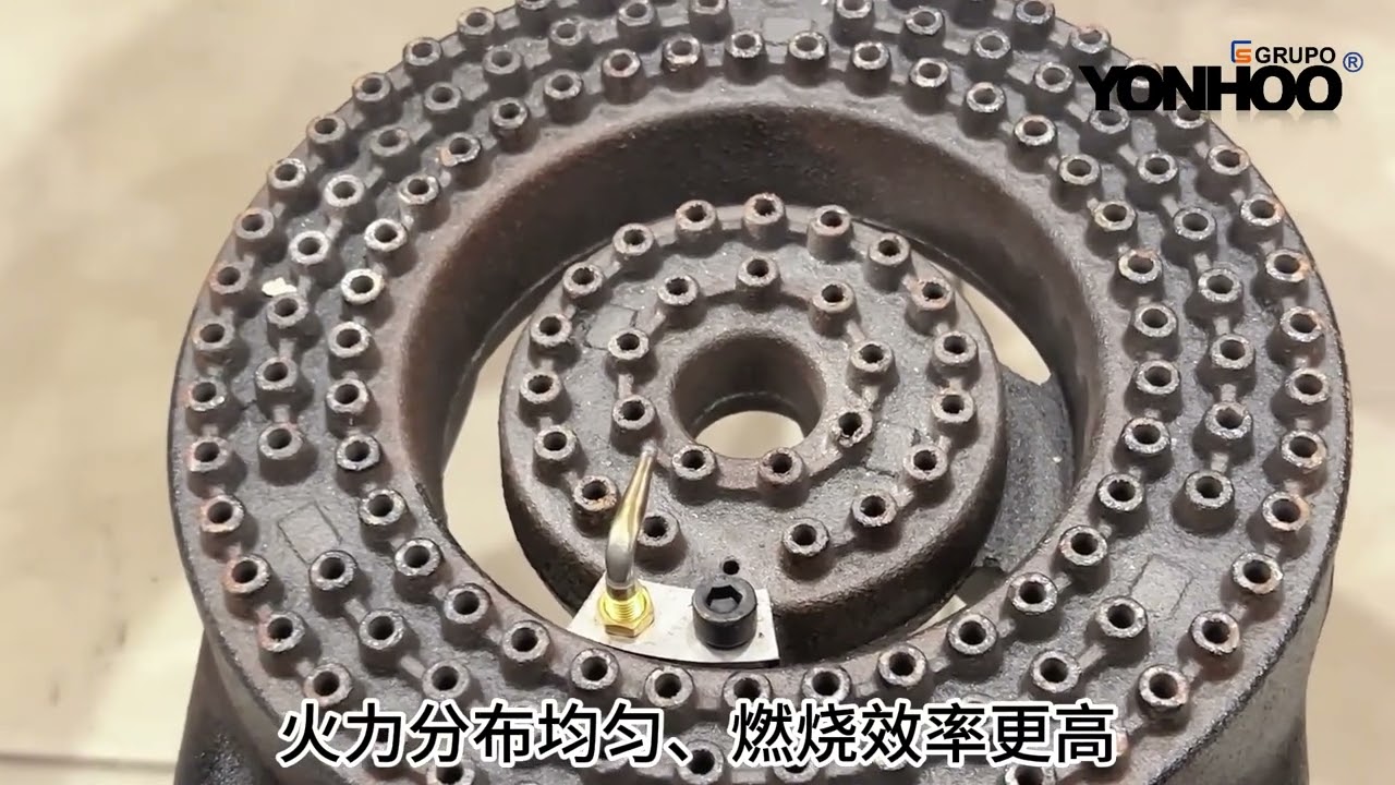 ガス、木炭両用回転烤禽炉（烤鸭炉）