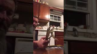 How to retrieve crossbow bolts without damage