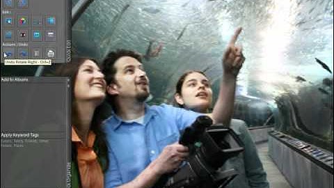 Photoshop Elements 9.0 Tutorial Using the Toolbars in Full Screen View Adobe Training Lesson 2.4