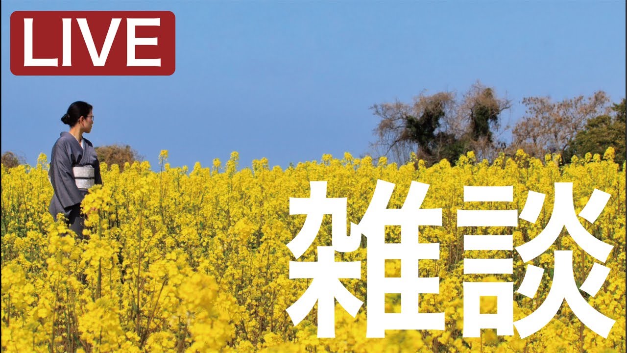 雑談LIVE！（帰化厳格化、日米首脳会談、日出町議会議員選挙、別府八幡温泉まつり、神武天皇祭、戦艦大和など、会員制度、長洲神社葵祭について