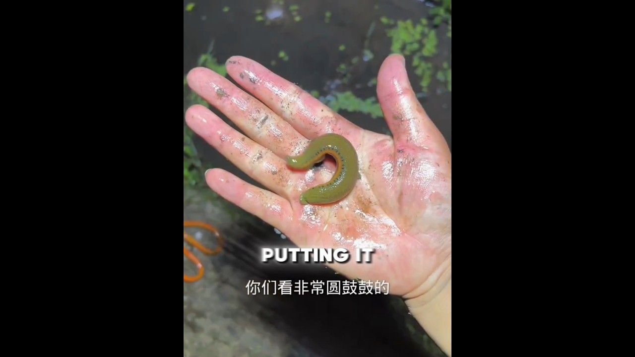 He Grabbed a Yellow Snake From the Drain… BIG Mistake! 😱🪣