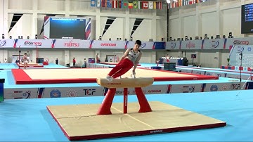 KIRCHNER Alexander (GER) - 2023 Artistic Junior Worlds - Qualifications Pommel Horse